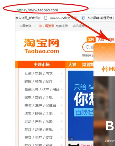The left hand category rail of the Taobao front page, entirely in Chinese, with the address bar circled in red above it